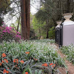 Visit Bosch Hoek OPEN Garden for Howick SPCA - 21 September 2025