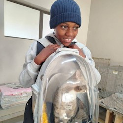 Fourteen more Mpophomeni pets sterilised by Midmar Vet Clinic and Funda Nenja