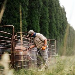 Biosecurity Is About Consistency - You Cannot Spray Everything But You Can Do This
