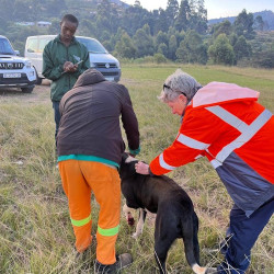 Rabies vaccination outreach goals - Funda Nenja