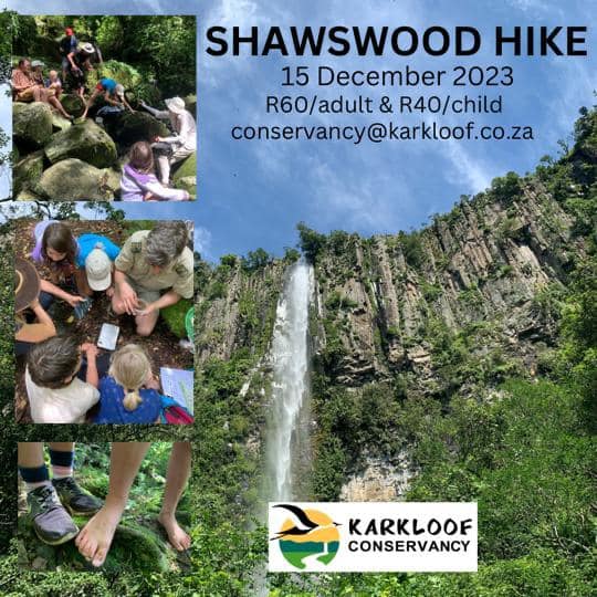 15 dec shawswood hike
