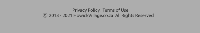 howick village footer 2019