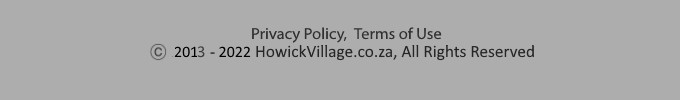 howick village footer 2019
