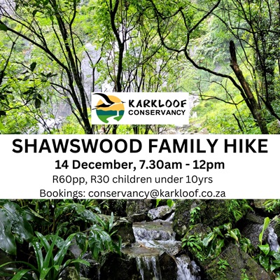 14 dec shawswood hike