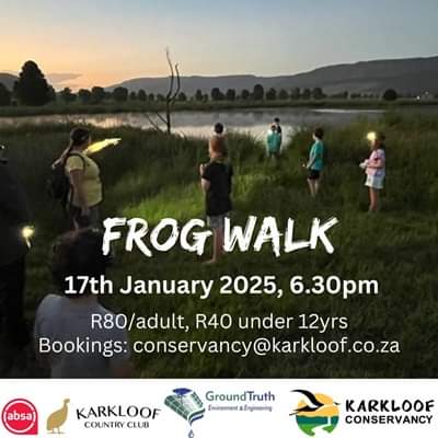 17 jan frog walk