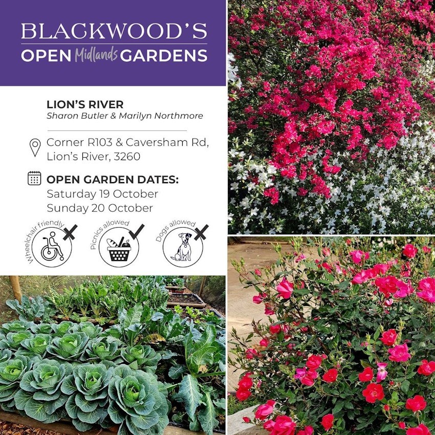 19 october lions river garden open