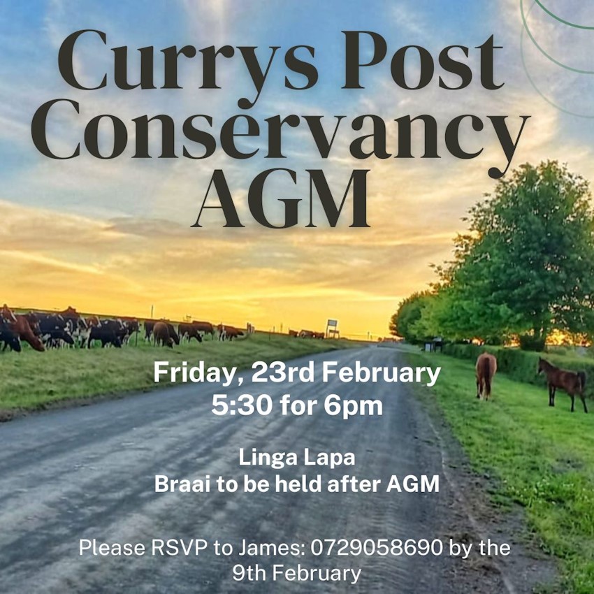 23 feb currys post