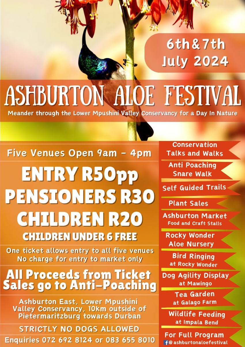 6 7 july aloe fest