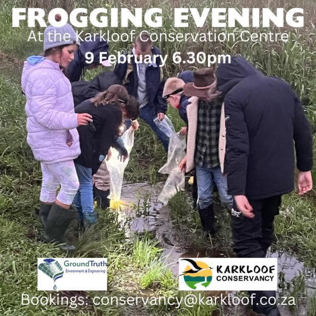 9 feb frogging evening