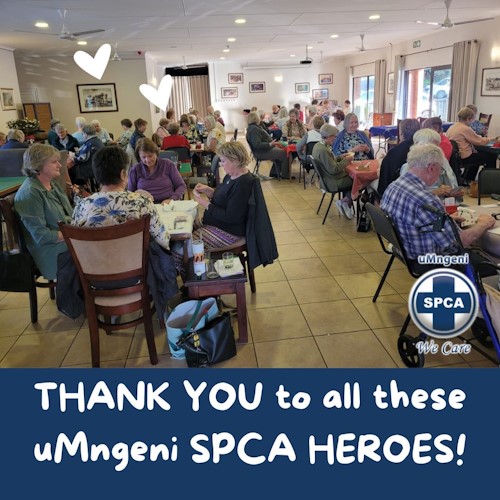 amber lee residents raies R12500 for umngeni spca