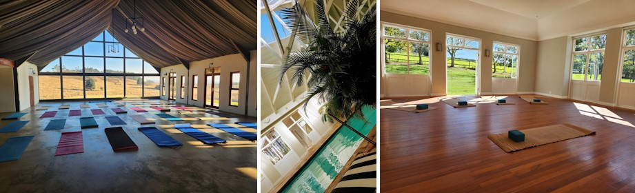 indigo fields liza williams footer