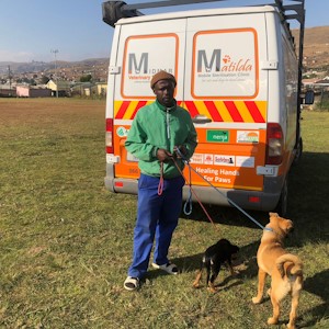 matilda june 2024 funda enja