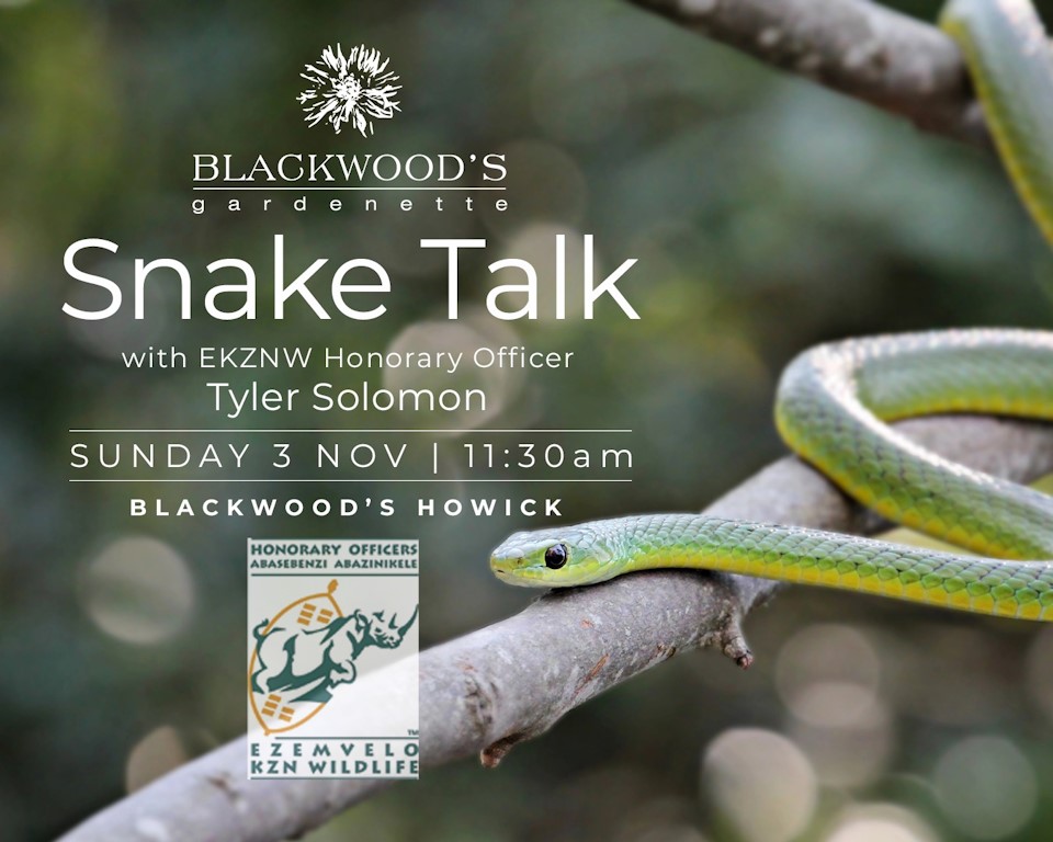 snake talk howick 3 nov