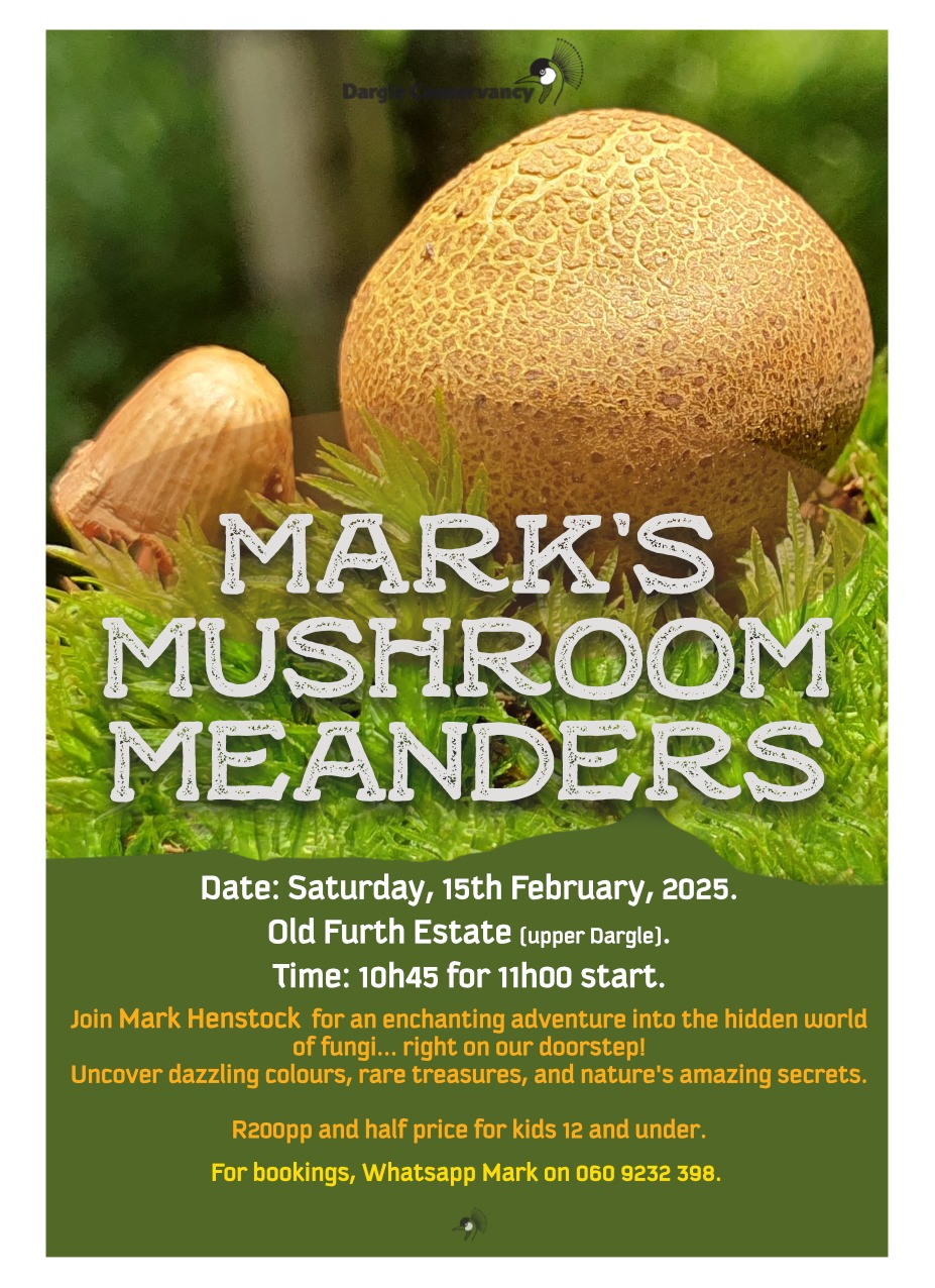 1 march howick