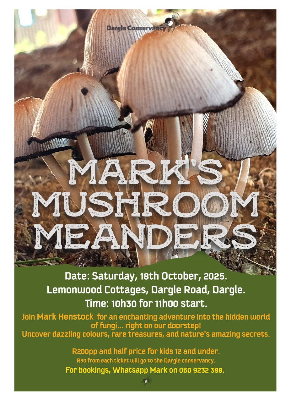 18 october mushroom walk dargle lemonwood cottatges