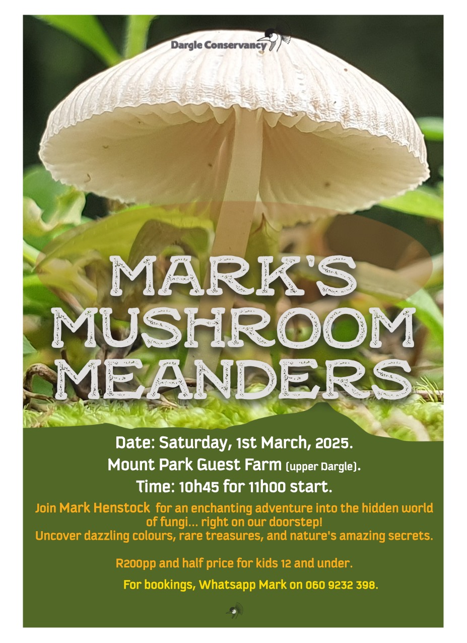1 march howick