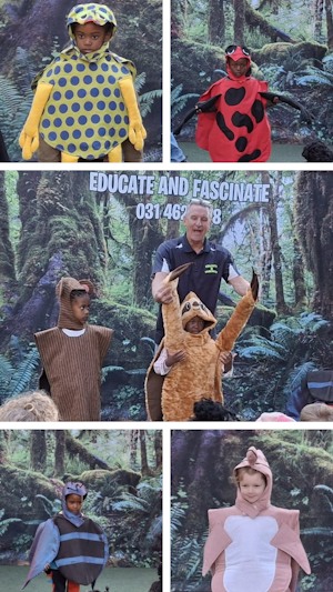 Educate and Fascinate Creatures