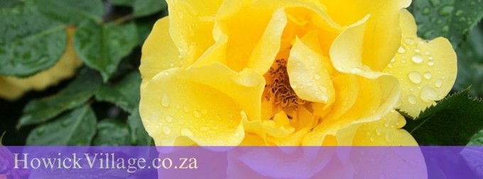 HowickVillage.co.za