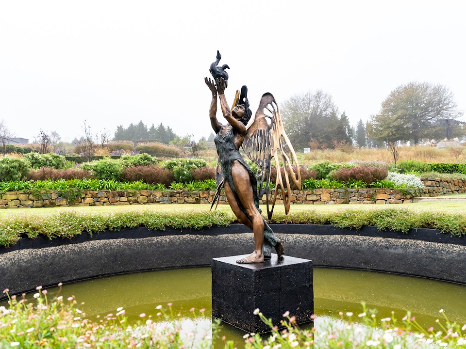 Lida and the signet Joyce Carreira