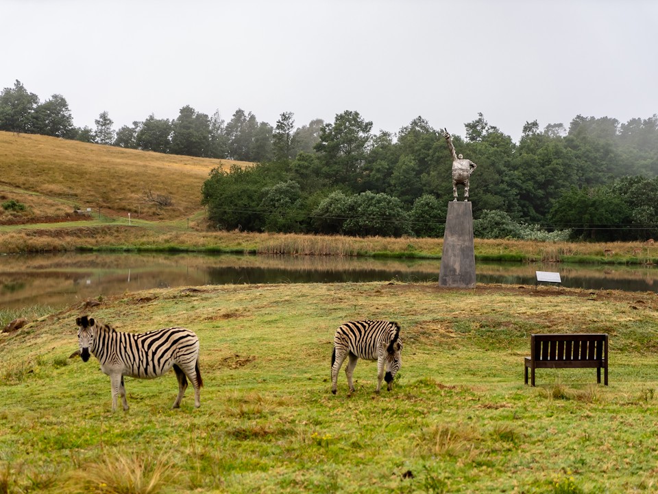Stargazer Louis can den Heever2