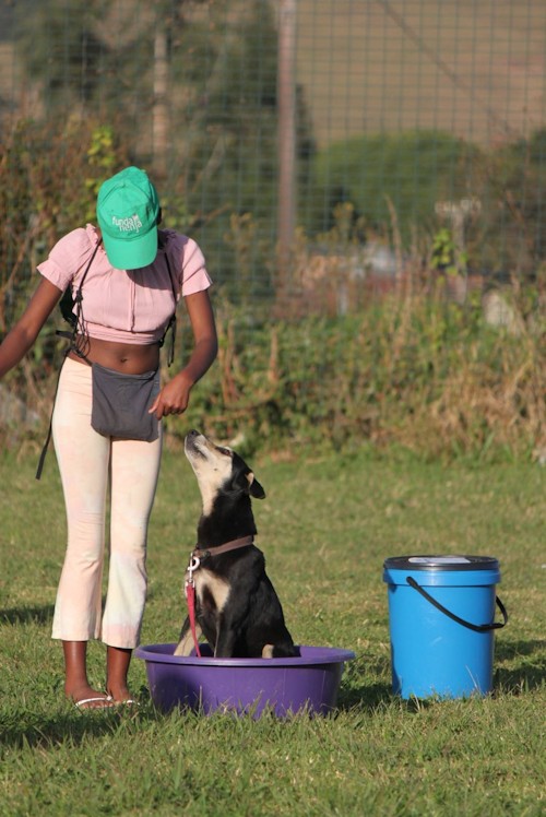 funda nenja june 2025