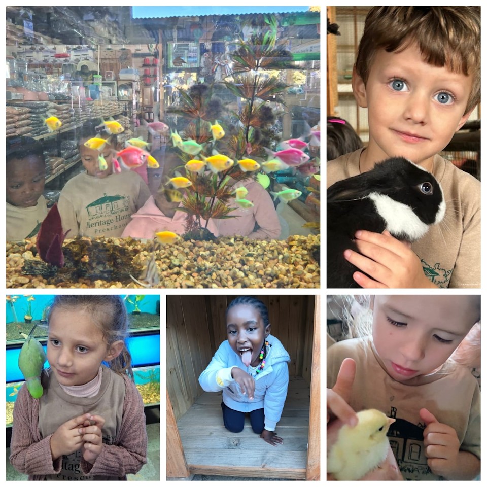 heritage house preschool spca collection