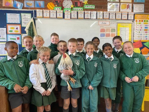 howick prep school rooster day