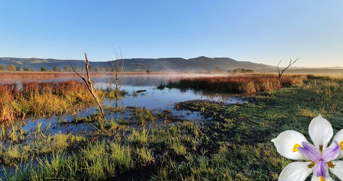 HowickVillage.co.za