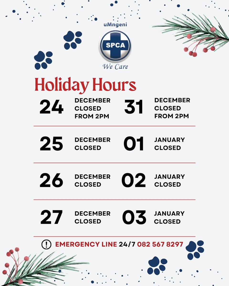 vet bookings spca howick christmas 2025