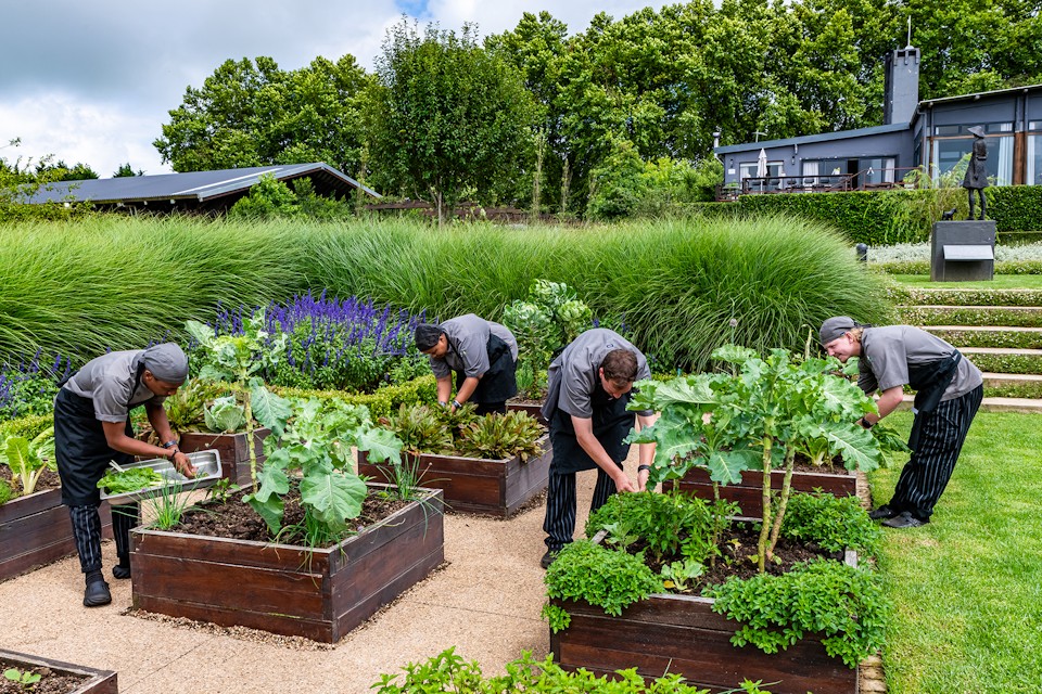 Brahman Hills veggie garden 8