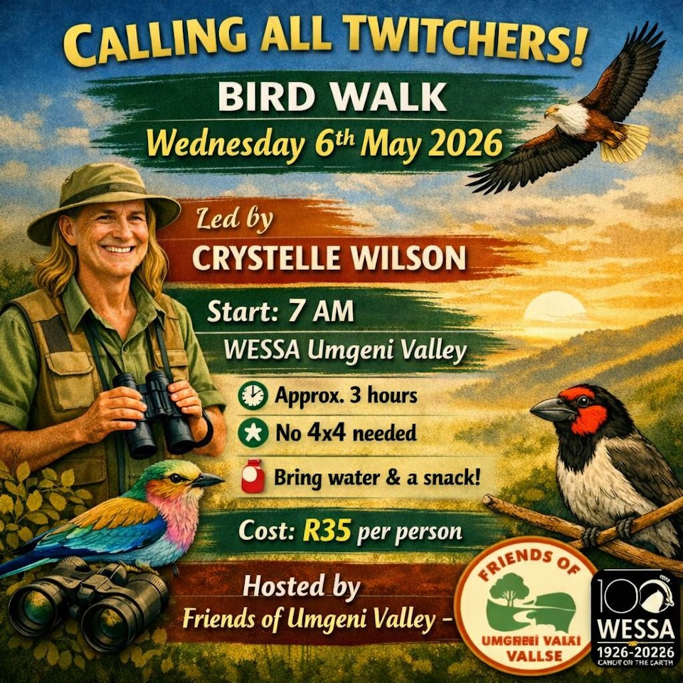 bird walk 6 may wessa