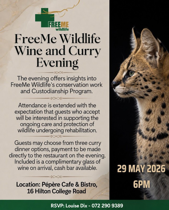freeme curry night invite