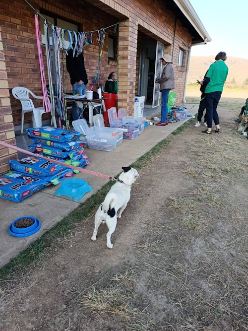 funda nenja pop up shop mpophomeni