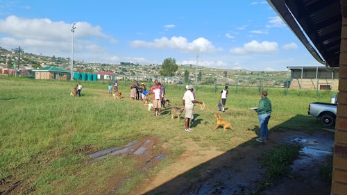 mpophmeni steri cinic