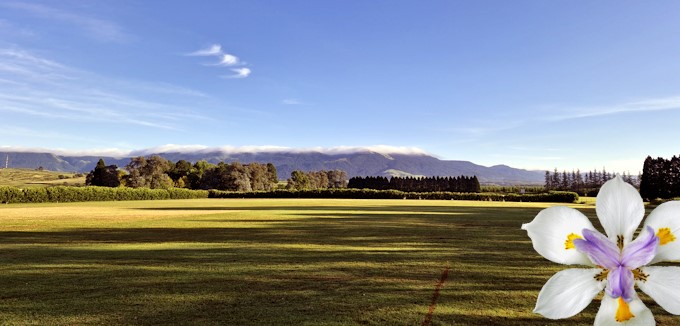 HowickVillage.co.za