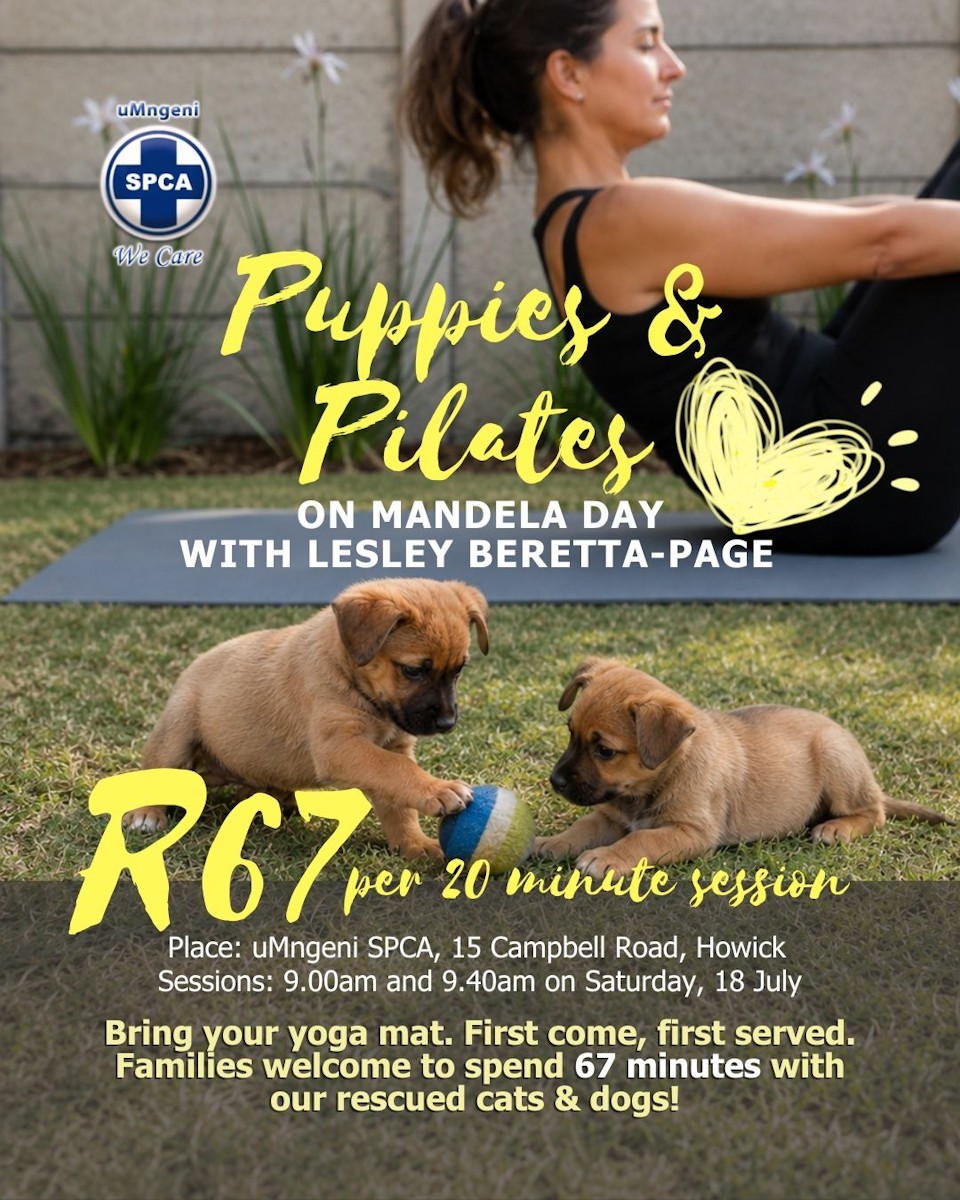 lesley page beretta spca news
