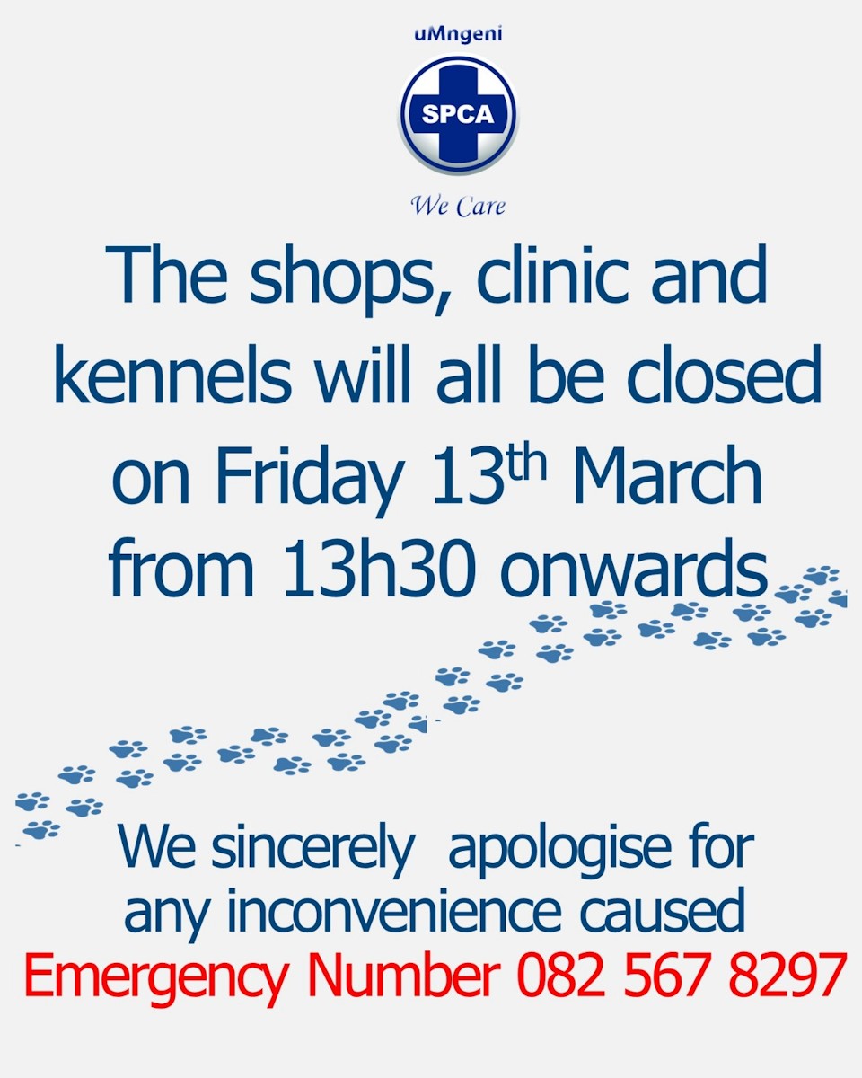 spca closes early 13 march 2026