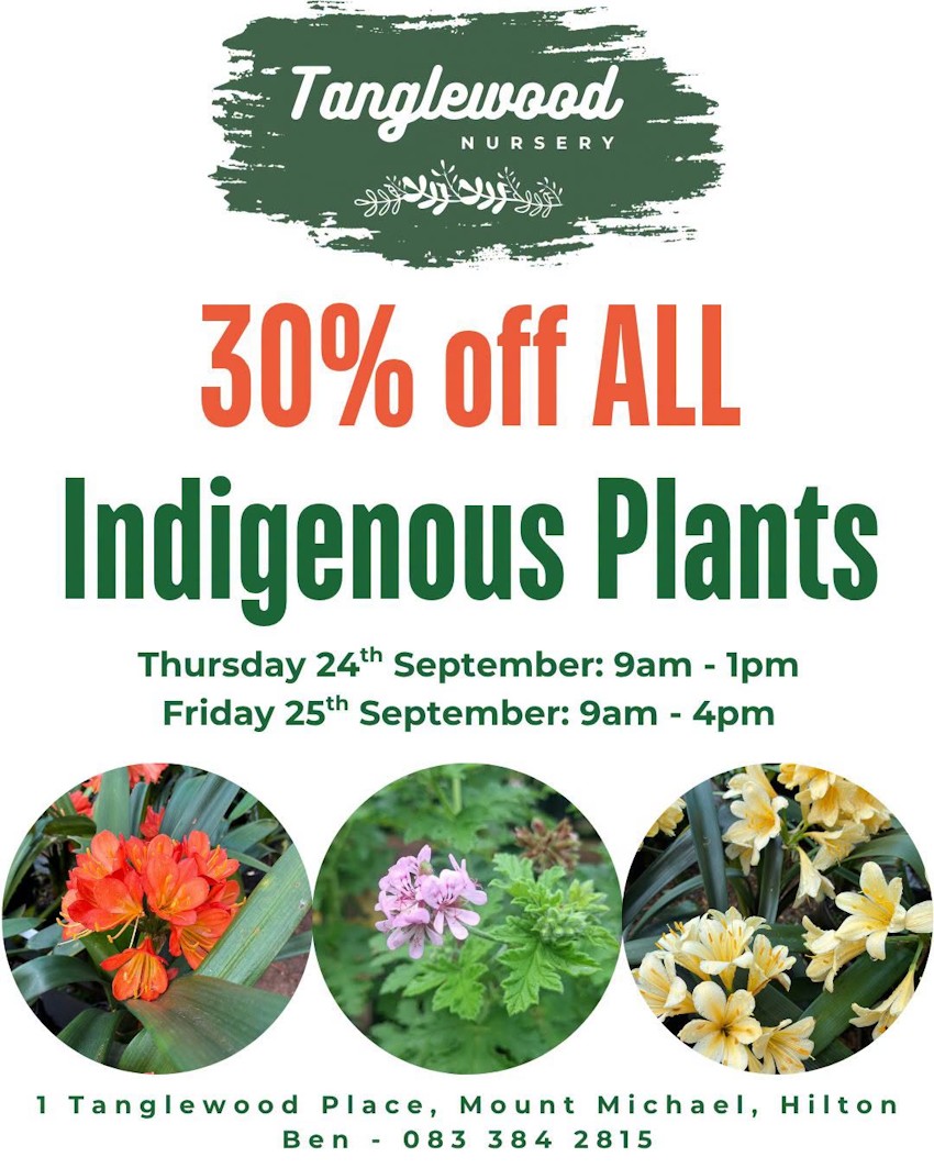 tanglewood nursery