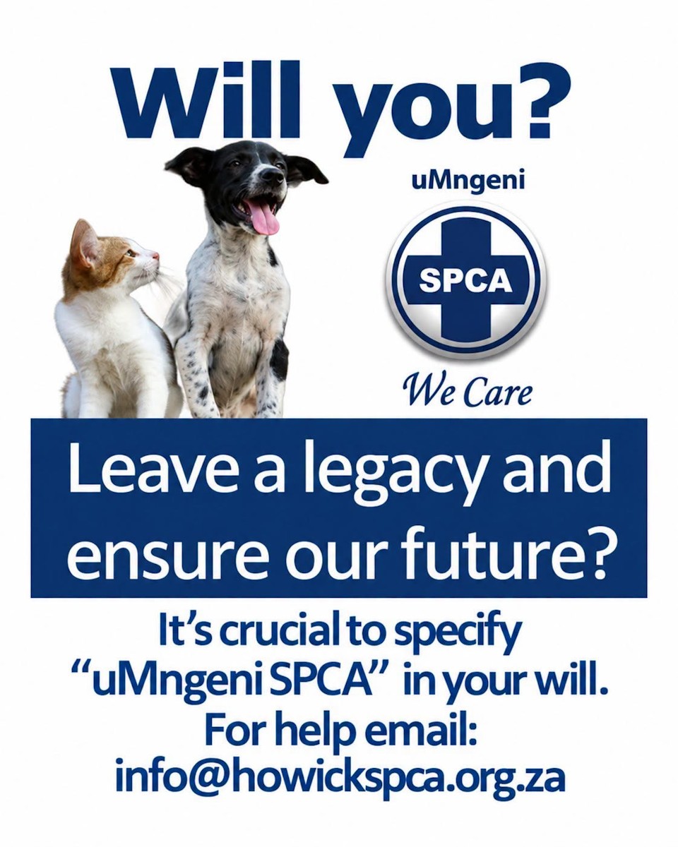 will week spca 2026 960
