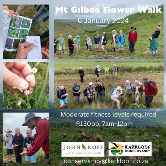 6 jan mount gilboa