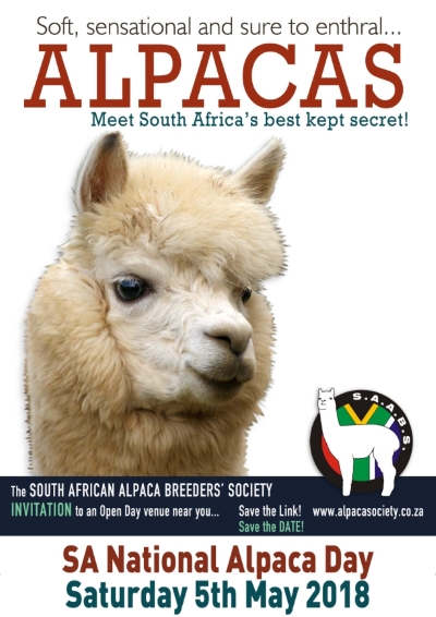 Alpaca day event copy