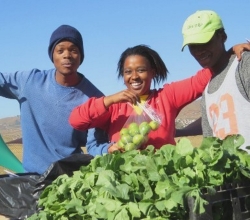 Mphphpmeni market days