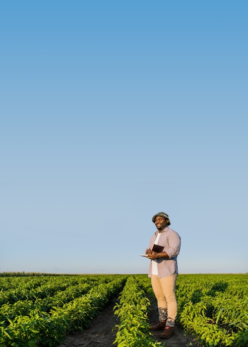 People Secondary image