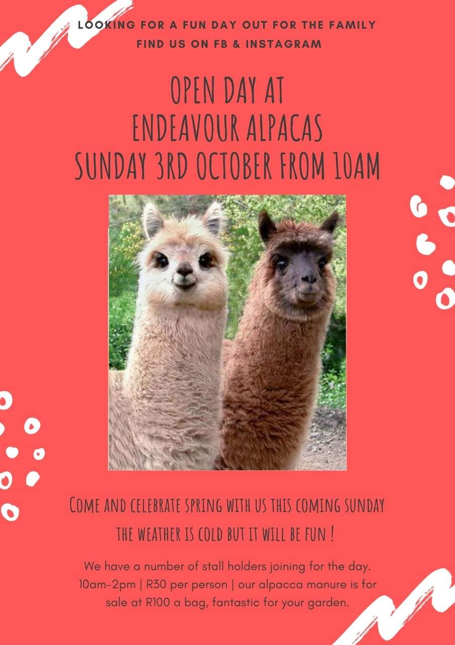 alpaca open day 3 oct 2021