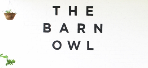 barn owl coffee cover