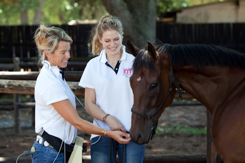 bset equine academy launch howick 