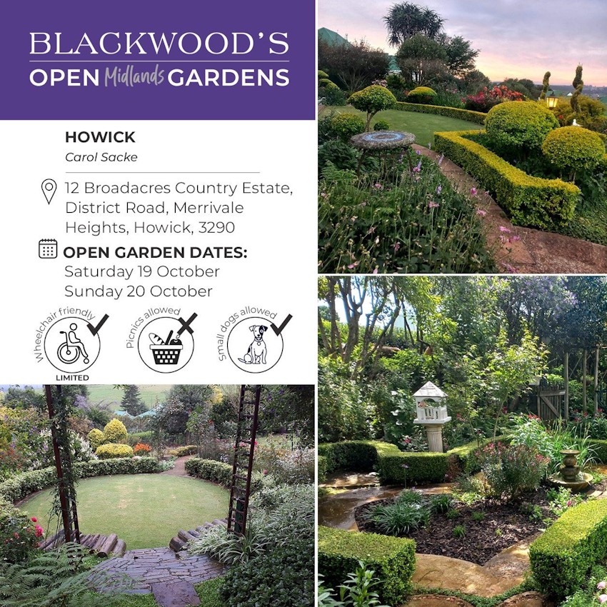 carol sacke open garden