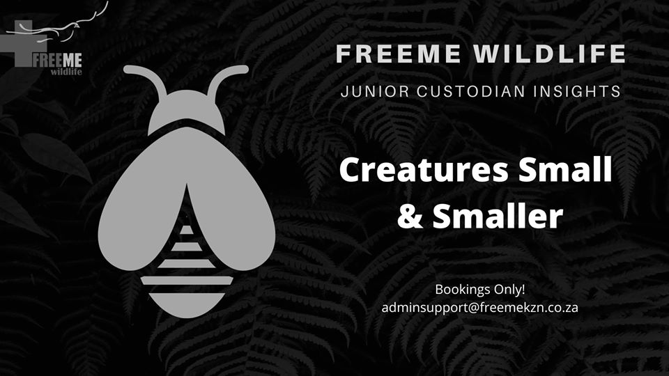 creatures small