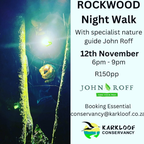 12 nov rocwood night walk