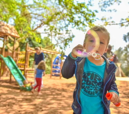 bubbles celtiskloof the courtyard 500x440